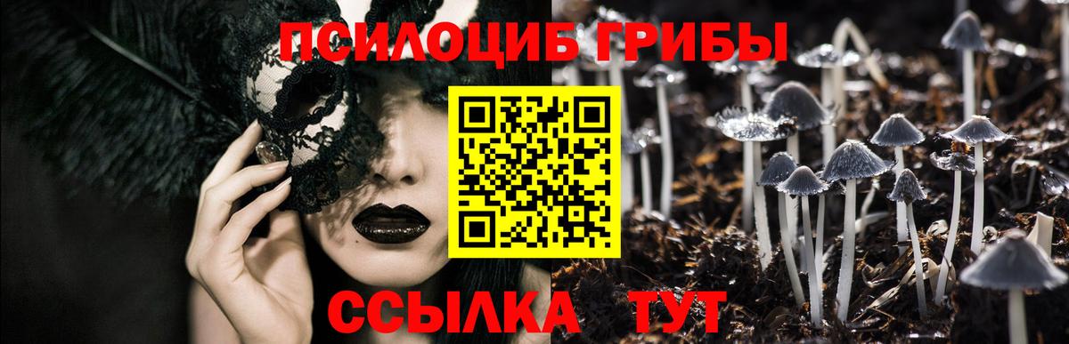 Лабытнанги  Галлюциногенные грибы мухоморы  Вход с VPN  Галлюциногенные грибы Psilocybe 